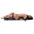 You2Toys - Bondage Bord - draagbare set (13-delig)