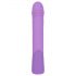 SMILE Push - paarse vibrator met clitorisarm