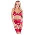 Abierta Fina - Glanzend kettinglingerie set (rood)