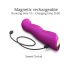 Love to Love Swap - oplaadbare, pulserende G-spot vibrator (paars)