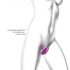 Wonderlover - G-spot en clitoris vibrator (roze metaal)