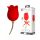 Pretty Love Rose Lover - 2-in-1 clitorisstimulator (rood)