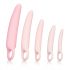 CalExotics Inspire - Medisch Silicone Vaginale Dilatorset (Roze)