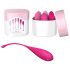 FEELZTOYS Femmefit - Geishaballen set (6-delig)